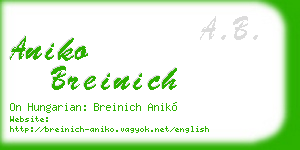 aniko breinich business card